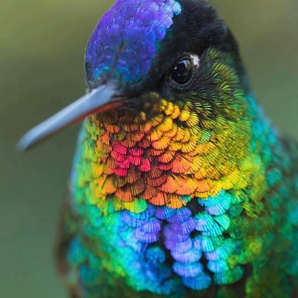 Meet your Posher, Tina